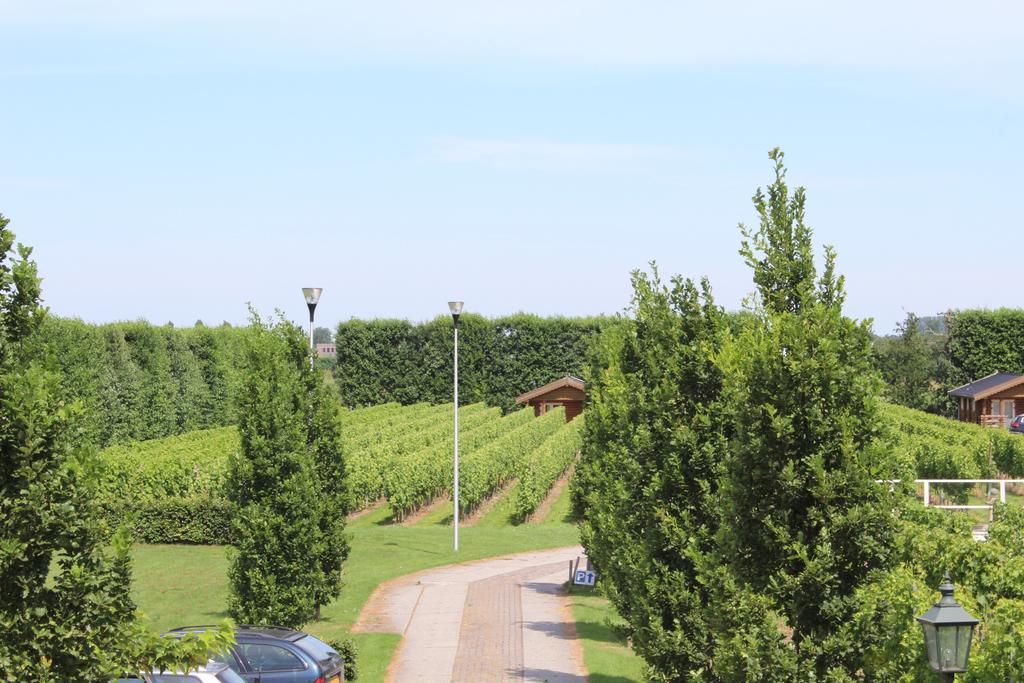 Wijngaard Saalhof Panzió Wognum Kültér fotó